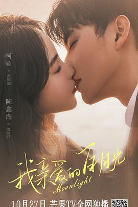 南湖区seo优化制造行业推广